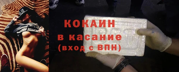 шишки Заволжск