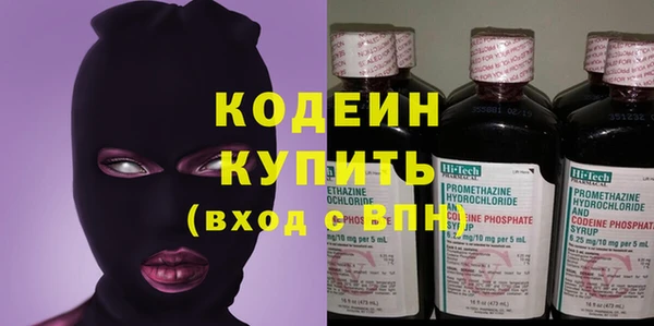 шишки Заволжск