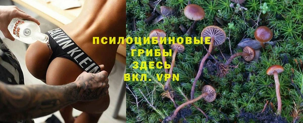 шишки Заволжск
