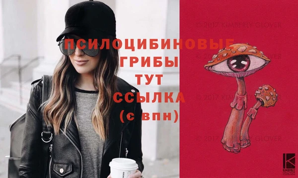 твердый Зерноград