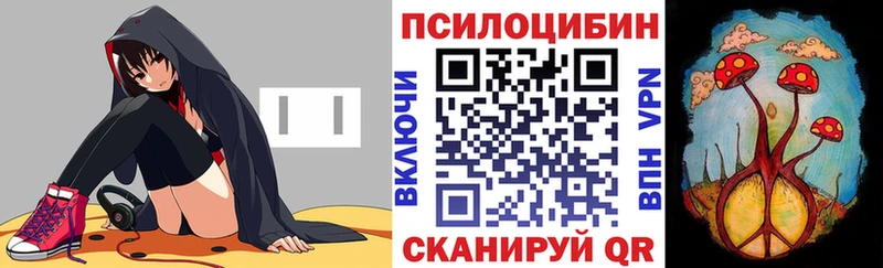 omg tor  Новоуральск  Псилоцибиновые грибы прущие грибы  закладки 